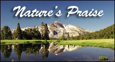 Nature's Praise