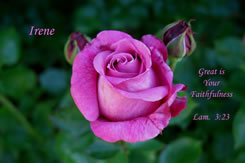 Great Is Your Faithfulness. Lamentations 3:23