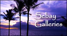 Sebay Galleries